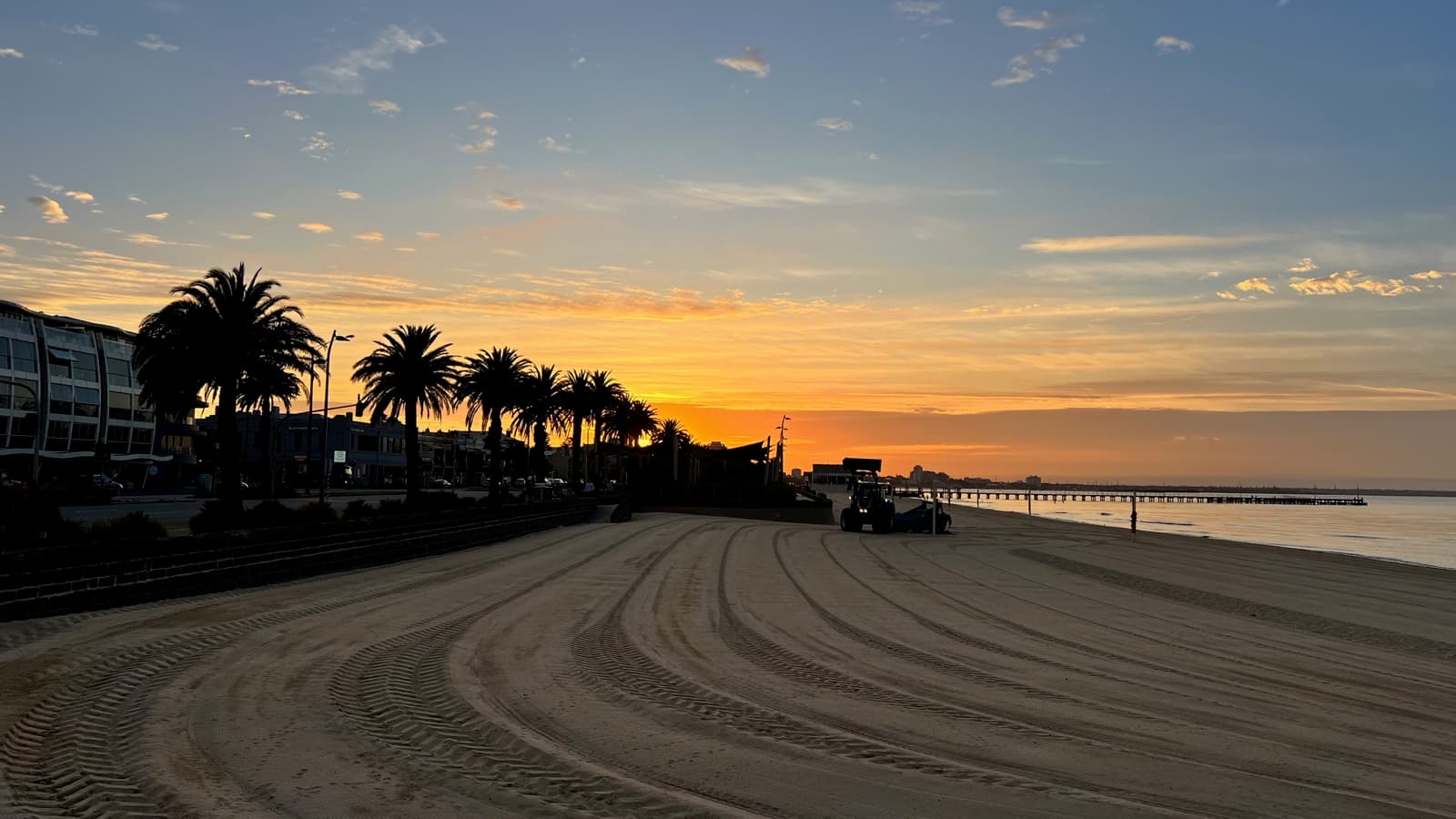 Palm trees and the foreshore at South Melbourne Beach at sunrise