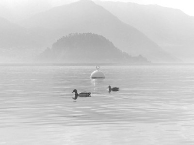 How to master sighting and&nbsp;navigation